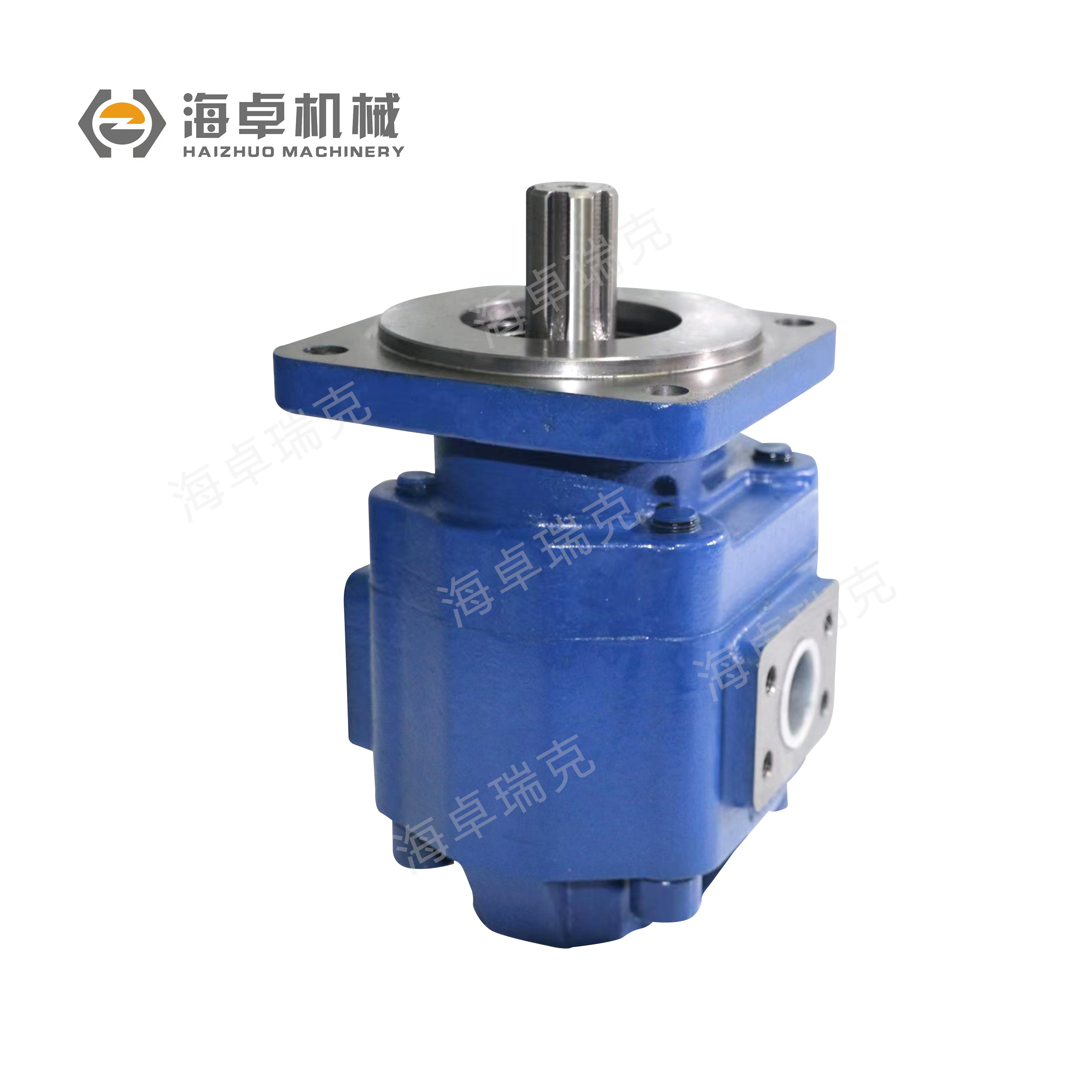 Cbgj2080 Pump