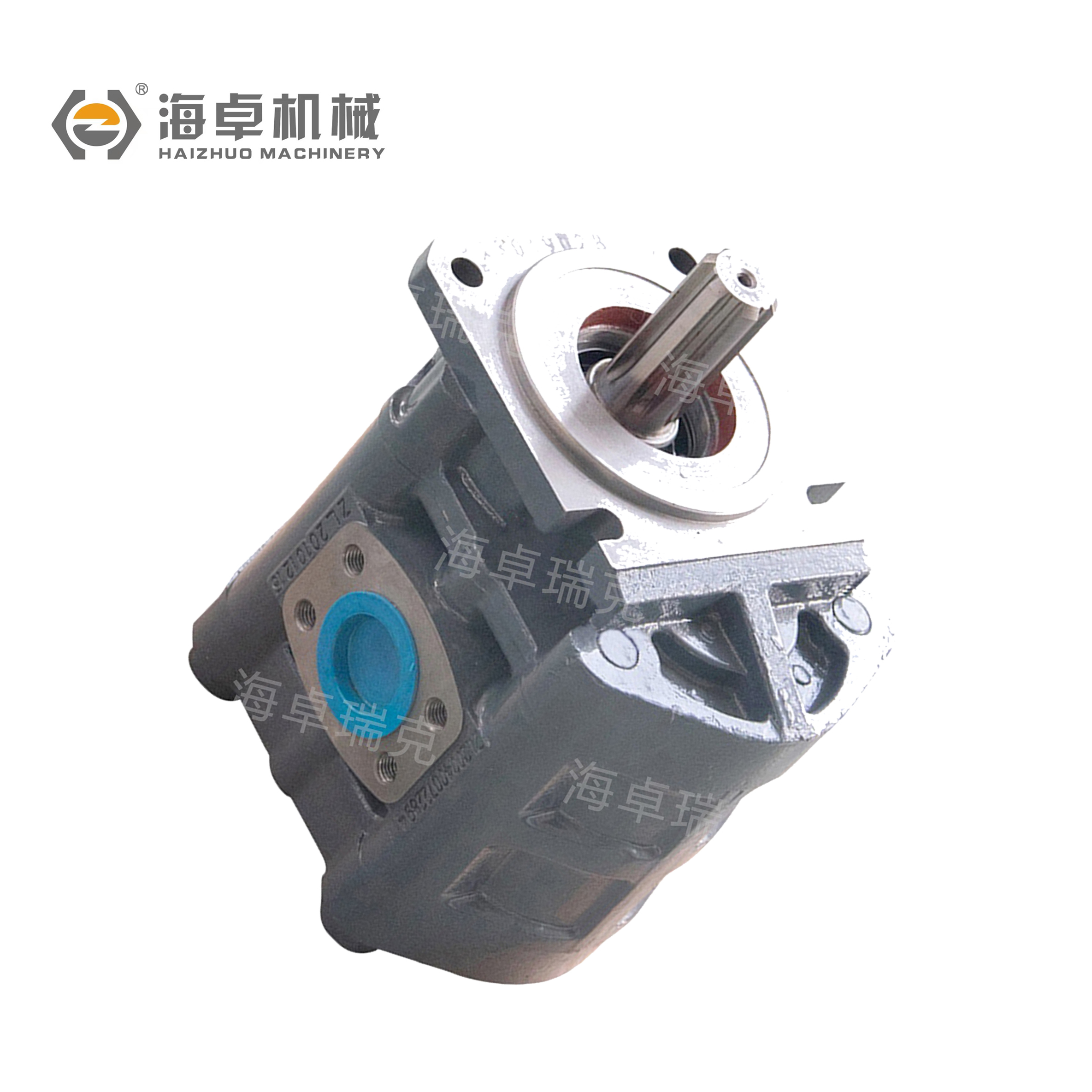 W-01-00112 Cbgj3100A Changlin Pump