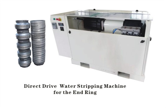 Direct-drive type end ring cleaning machine